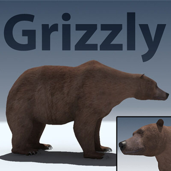 grizzly bear obj - Grizzly Bear by Braden Lehman